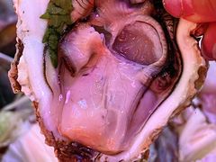 -济扶岛韩国海鲜汤제부도 해물탕(望京店)