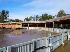 -威勒比开放式动物园