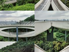-大顶岭绿道