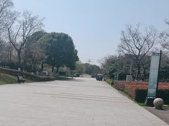 -九里河湿地公园