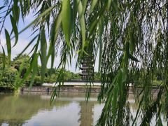 -上海方塔园