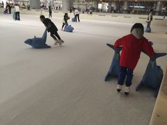 -TheRink大零溜冰场(IFS国金中心店)