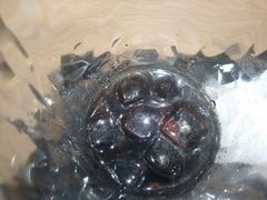 -大家乐(广州天河城六楼店)