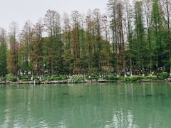 -桂林两江四湖景区