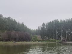-仁和公园(顺义区)