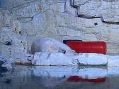 -大连老虎滩海洋公园