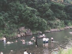 -北仑森林植物园