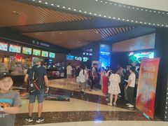 -SFC上影百联影城(川沙IMAX店)