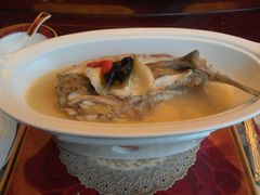 清蒸河豚-红色盛宴酒楼(科丰桥店)