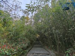 -竹林寺