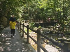 -牛背梁国家森林公园