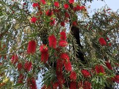 -人民公园(罗湖区)