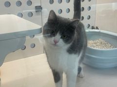 -comecome来吧宠物(奥克斯中心店)