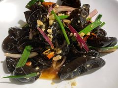 老醋木耳-必点海鲜·鲅鱼水饺(鞍山西道店)