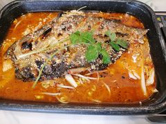 -蜀腾川·火锅鱼.烤鱼(新世界城店)
