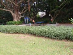 -金鸡山公园