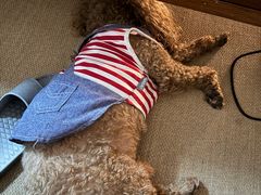 -宠福鑫动物医院(城北分院)