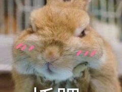 -greenjoy绿享轻食(宁海路店)