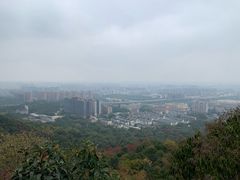 -杭州半山国家森林公园