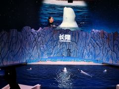 -珠海长隆海洋王国