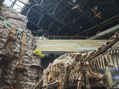 -安徽省地质博物馆