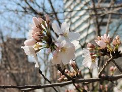 -新天地活力PARK