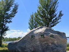 -野鸭湖国家湿地公园