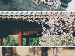 -三里河公园