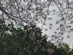 -石峰公园