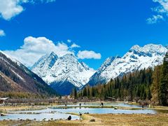 -金鼎雪山牦牛杂火锅(理县总店)