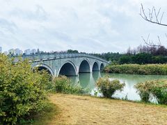 -三垟湿地