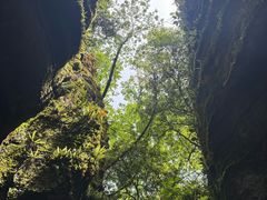 -梭布垭石林景区