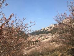 -崂山九水游览区