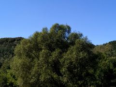 -大连铭湖国际观光牧场
