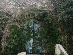 -白塘生态植物园