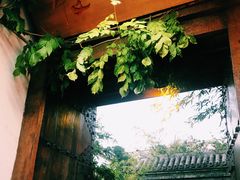 -慢丽江·云南野生菌土鸡锅(付家庄店)
