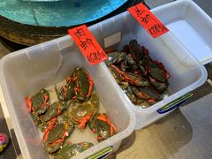 -强记海鲜·大排档(蛇口新街店)