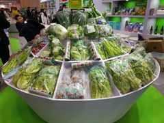 -郑州国际会展中心
