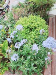 -重庆军科整形美容医院