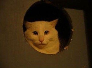 -宥莉·ULLY 痘敏肌•科技皮肤管理中心