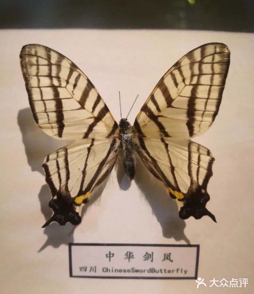 六一亲子游，与萌宠来一场约会～