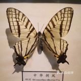 六一亲子游，与萌宠来一场约会～