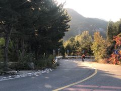 -Local泰莲庭(虹鳟鱼店)