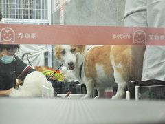 -宠物家(大兴旧宫店)