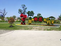 -南通鲜花小镇