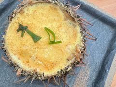 -海胆小馆(东北水饺·春柳店)