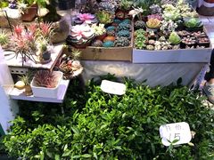 -三旗百汇商品城