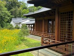 -兰亭风景区