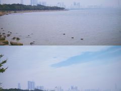 -深圳湾公园(南山区)