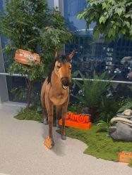 -IMON·HANSA潮玩玩偶毛绒玩具(通州万象汇店)